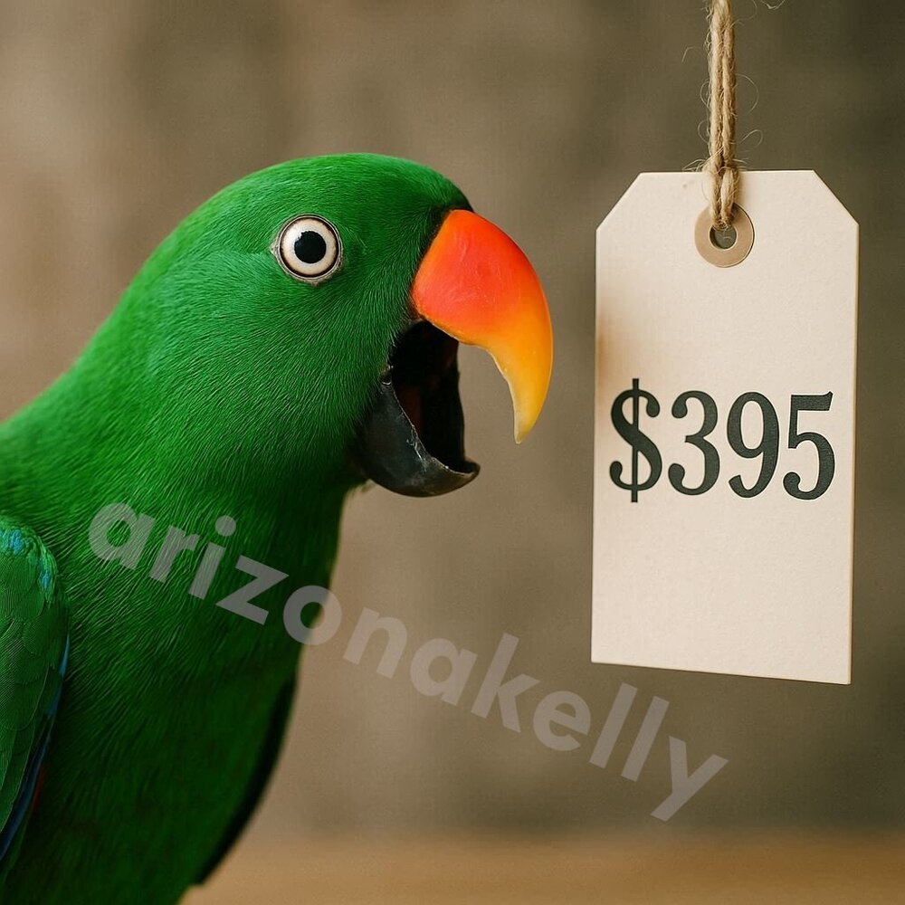 Why I Price High